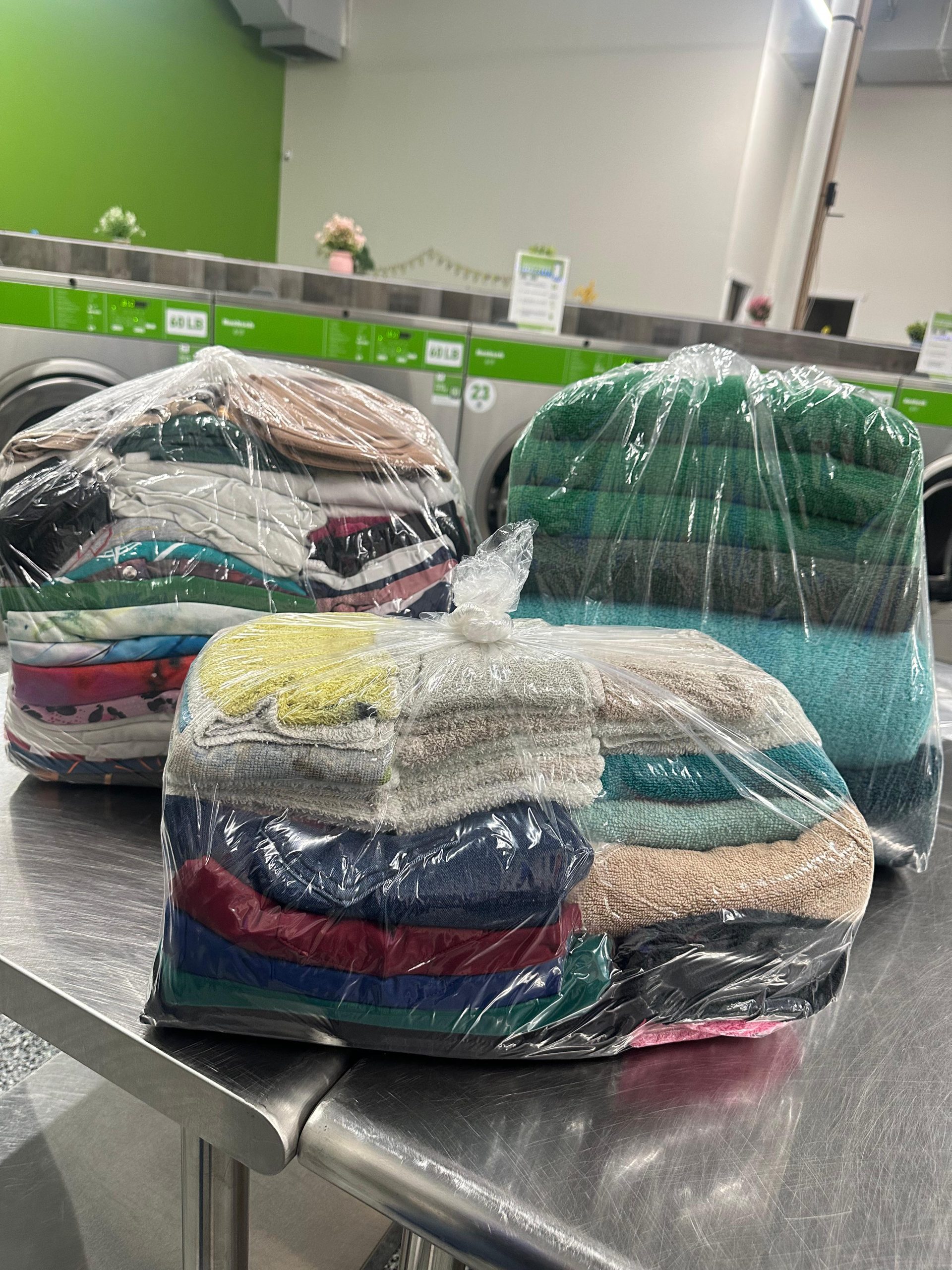 Same day laundry service near 84663 Utah
